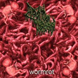 Drain Of Impurity : Wormrot